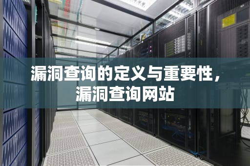 漏洞查询的定义与重要性，漏洞查询网站
