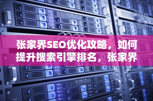 张家界SEO优化攻略，如何提升搜索引擎排名，张家界seo企业