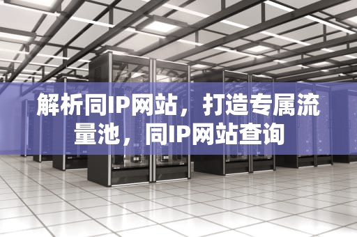 解析同IP网站，打造专属流量池，同IP网站查询