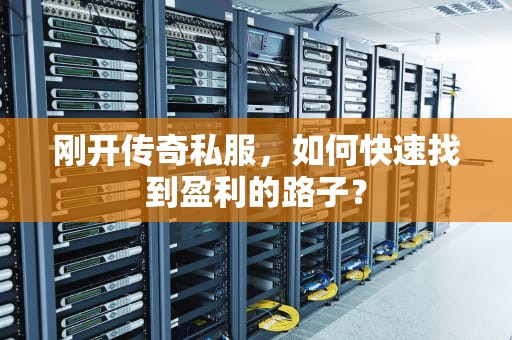 刚开传奇私服，如何快速找到盈利的路子？
