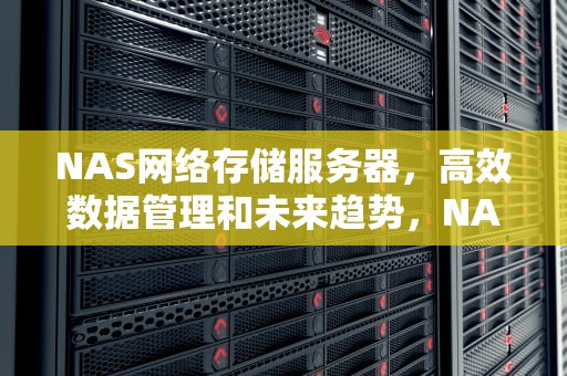 NAS网络存储服务器，高效数据管理和未来趋势，NAS网络存储服务器与移动硬盘的区别