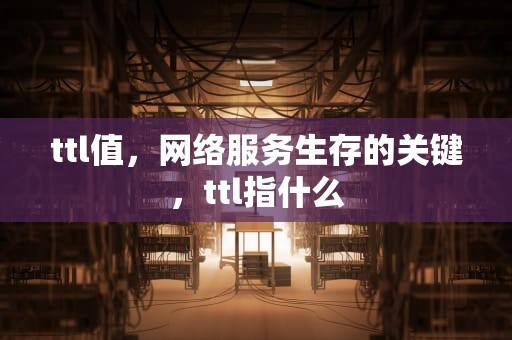 ttl值，网络服务生存的关键，ttl指什么