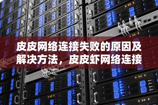 皮皮网络连接失败的原因及解决方法，皮皮虾网络连接失败