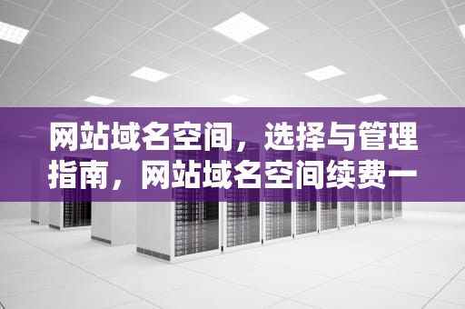 网站域名空间，选择与管理指南，网站域名空间续费一年多少钱