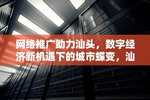 网络推广助力汕头，数字经济新机遇下的城市蝶变，汕头网络推广专员