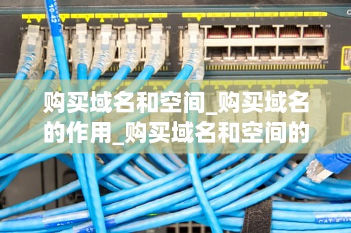 购买域名和空间_购买域名的作用_购买域名和空间的全面指南