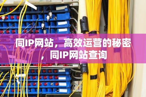 同IP网站，高效运营的秘密，同IP网站查询