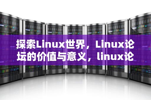 探索Linux世界，Linux论坛的价值与意义，linux论坛