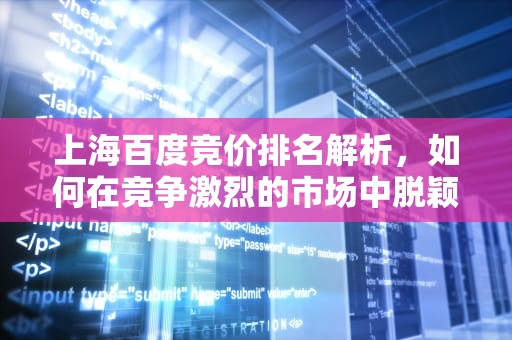 上海百度竞价排名解析，如何在竞争激烈的市场中脱颖而出，上海百度竞价排名第几