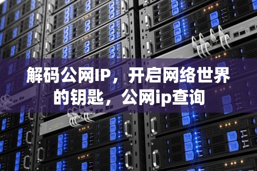 解码公网IP，开启网络世界的钥匙，公网ip查询