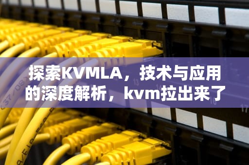 探索KVMLA，技术与应用的深度解析，kvm拉出来了怎么放进去
