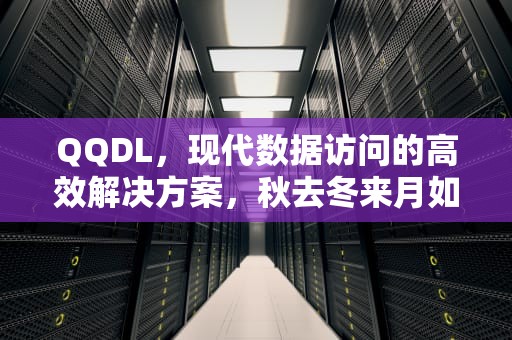 QQDL，现代数据访问的高效解决方案，秋去冬来月如风能否陪我过个冬