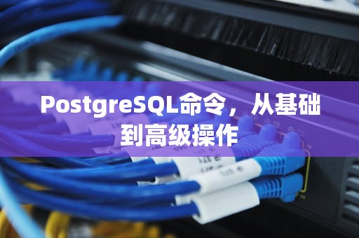 PostgreSQL命令，从基础到高级操作