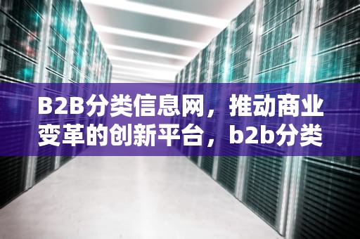 B2B分类信息网，推动商业变革的创新平台，b2b分类信息网排行榜前10