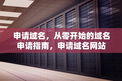 申请域名，从零开始的域名申请指南，申请域名网站