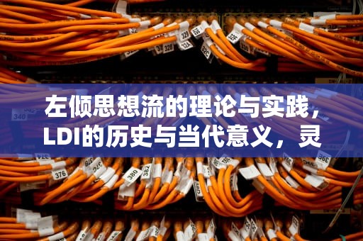 左倾思想流的理论与实践，LDI的历史与当代意义，灵动岛