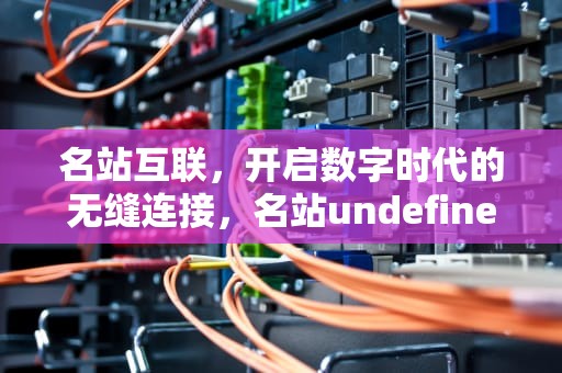 名站互联，开启数字时代的无缝连接，名站undefined