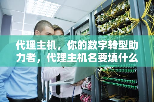 代理主机，你的数字转型助力者，代理主机名要填什么
