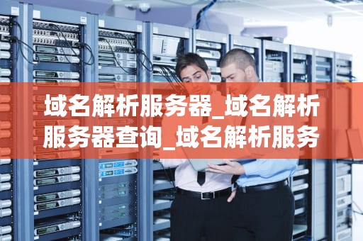 域名解析服务器_域名解析服务器查询_域名解析服务器的运作原理与应用
