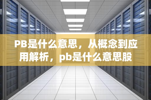 PB是什么意思，从概念到应用解析，pb是什么意思股市交易