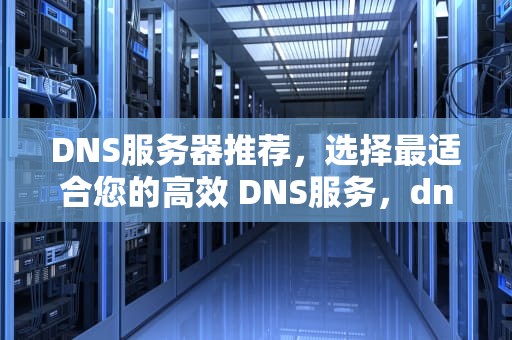 DNS服务器推荐，选择最适合您的高效 DNS服务，dns哪个服务器稳定