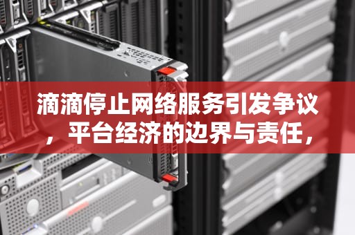 滴滴停止网络服务引发争议，平台经济的边界与责任，滴滴停止网络服务什么原因