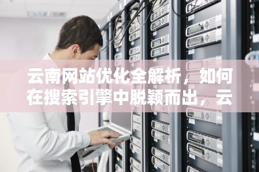 云南网站优化全解析，如何在搜索引擎中脱颖而出，云南网站优化公司