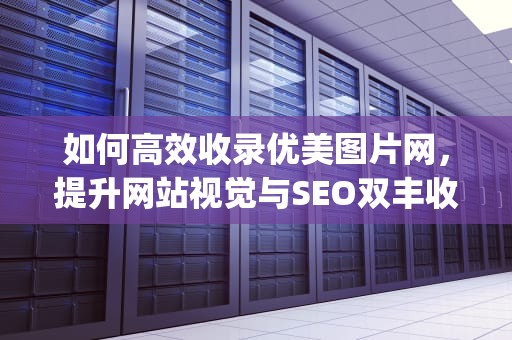 如何高效收录优美图片网，提升网站视觉与SEO双丰收？收录优美图片 topitme