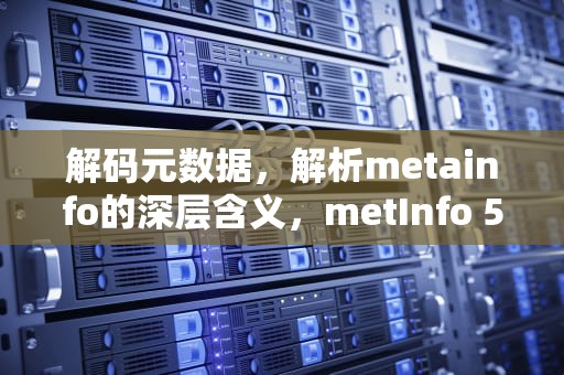 解码元数据，解析metainfo的深层含义，metInfo 5.3.19