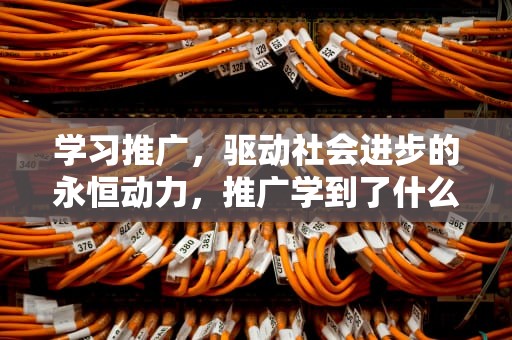 学习推广，驱动社会进步的永恒动力，推广学到了什么