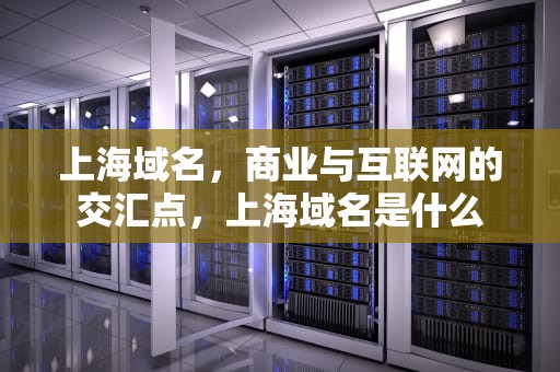 上海域名，商业与互联网的交汇点，上海域名是什么