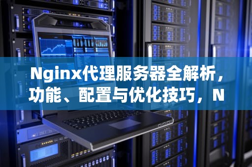 Nginx代理服务器全解析，功能、配置与优化技巧，NGINX代理服务器怎么识别客户端真实IP