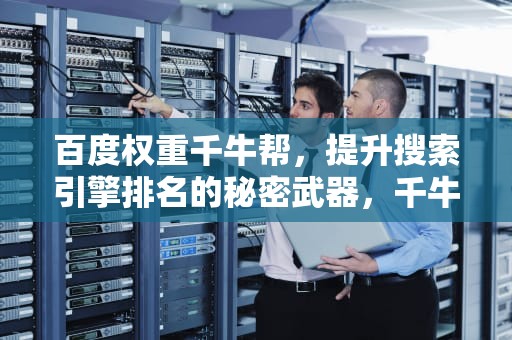 百度权重千牛帮，提升搜索引擎排名的秘密武器，千牛权重是什么意思