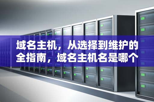 域名主机，从选择到维护的全指南，域名主机名是哪个