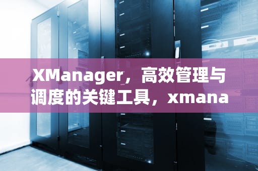 XManager，高效管理与调度的关键工具，xmanager是什么软件