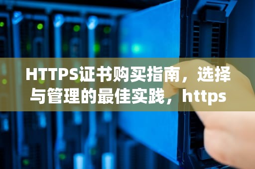 HTTPS证书购买指南，选择与管理的最佳实践，https证书购买价格