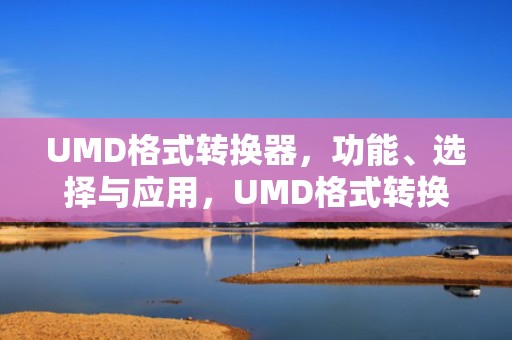 UMD格式转换器，功能、选择与应用，UMD格式转换器