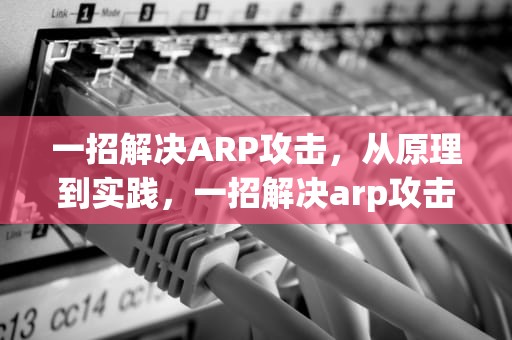 一招解决ARP攻击，从原理到实践，一招解决arp攻击 手机