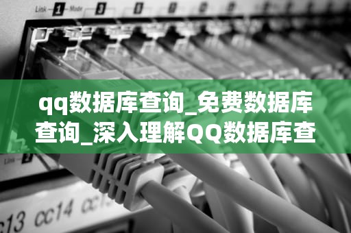 qq数据库查询_免费数据库查询_深入理解QQ数据库查询：以关键词为核心展开叙述