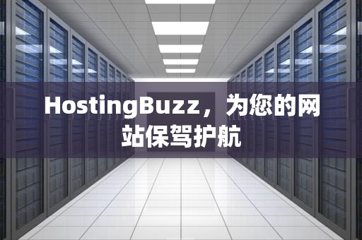 HostingBuzz，为您的网站保驾护航