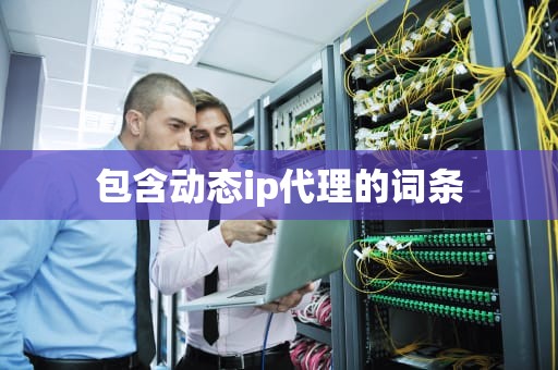包含动态ip代理的词条