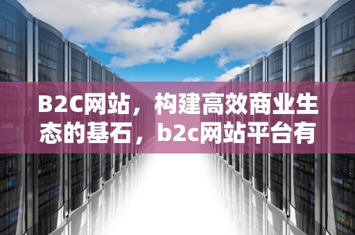 B2C网站，构建高效商业生态的基石，b2c网站平台有哪些