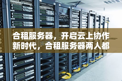 合租服务器，开启云上协作新时代，合租服务器两人都能看到记录吗
