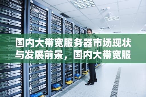 国内大带宽服务器市场现状与发展前景，国内大带宽服务器推荐