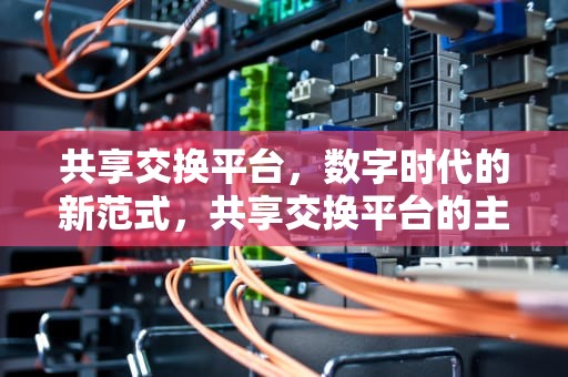 共享交换平台，数字时代的新范式，共享交换平台的主要功能