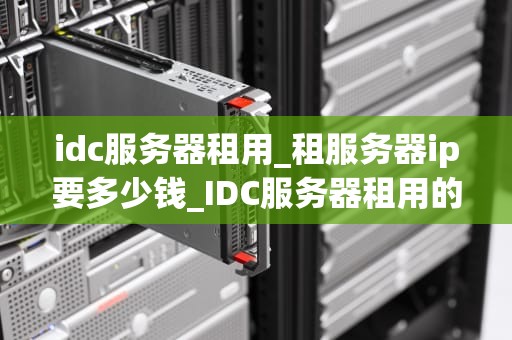 idc服务器租用_租服务器ip要多少钱_IDC服务器租用的重要性及其优势