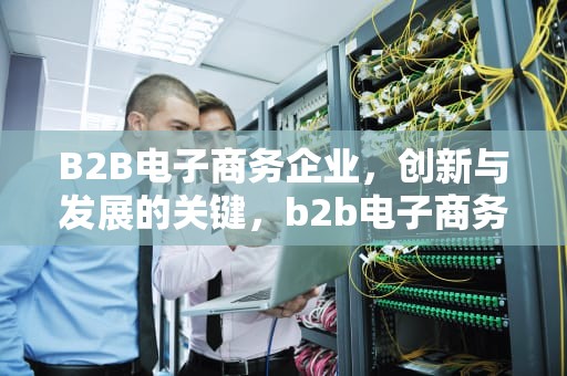 B2B电子商务企业，创新与发展的关键，b2b电子商务企业的物流普遍采用