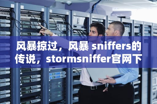 风暴掠过，风暴 sniffers的传说，stormsniffer官网下载