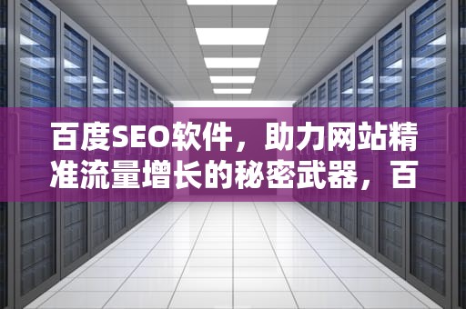 百度SEO软件，助力网站精准流量增长的秘密武器，百度seo软件是做什么的