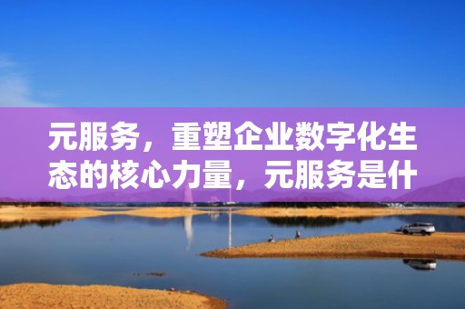 元服务，重塑企业数字化生态的核心力量，元服务是什么意思